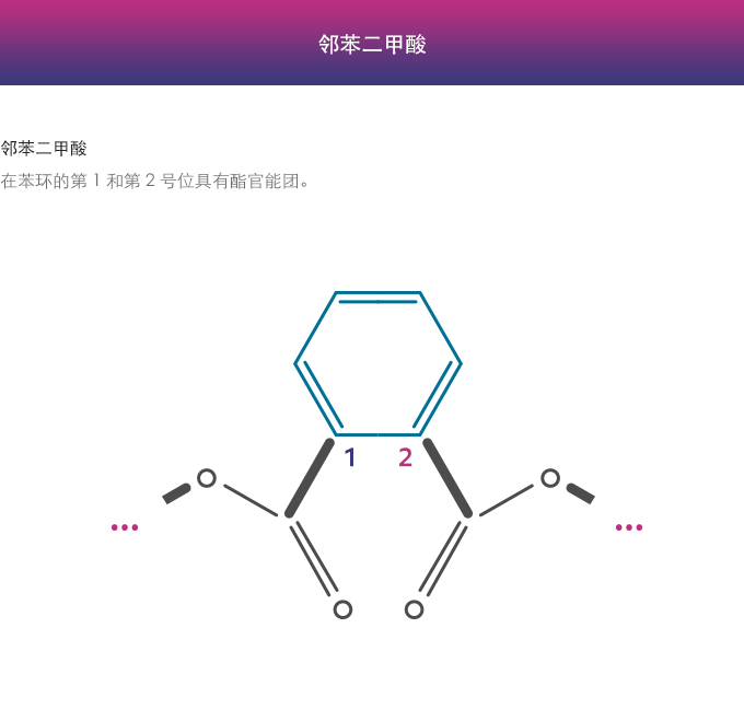 邻苯二甲酸酯对苯二甲酸酯图 - 中文