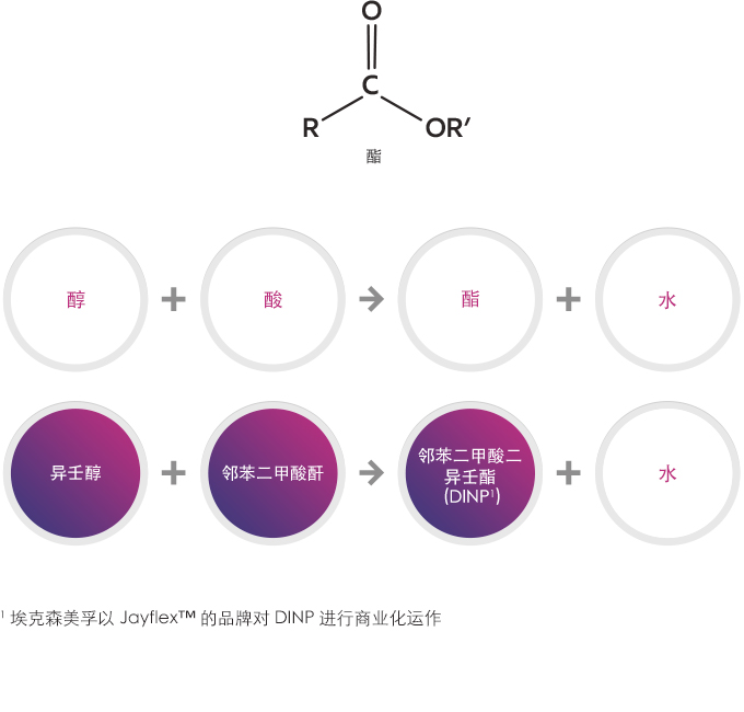 增塑剂酯成分图 - 中文
