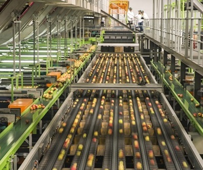 food machinery
